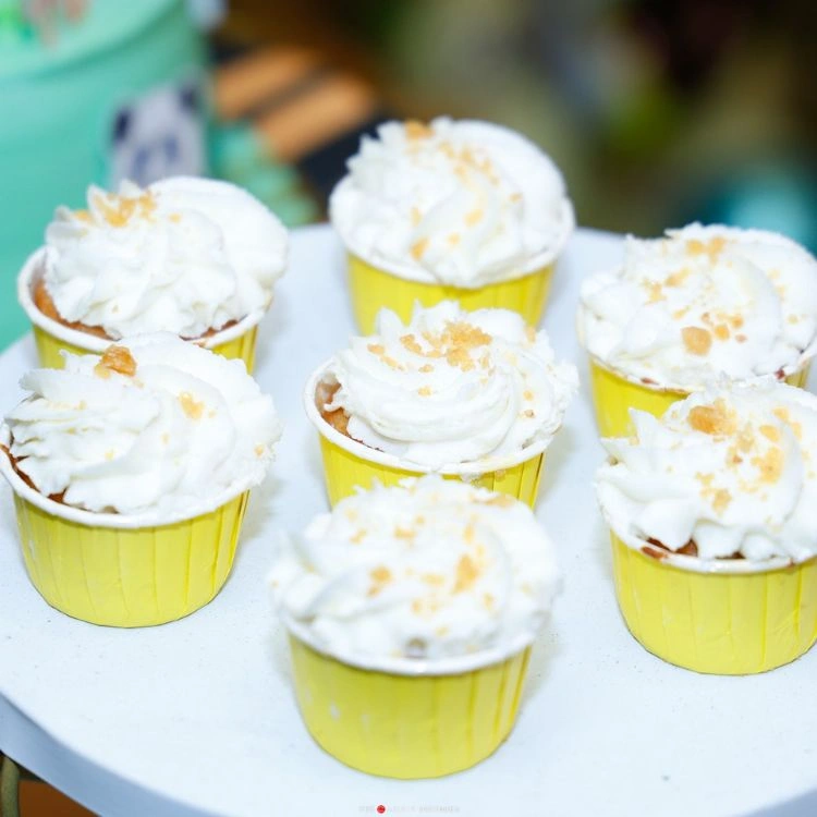 Jungle Safari Birthday Decor Package